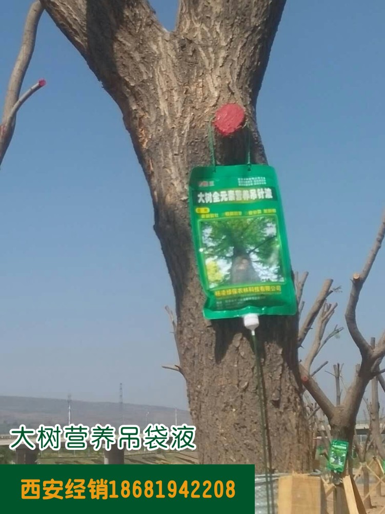 大樹營養(yǎng)吊袋液產品使用圖